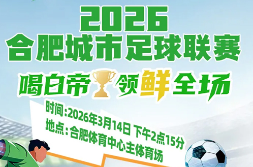 2026合肥城市足球联赛震撼启幕！你，准备好呐喊了吗？